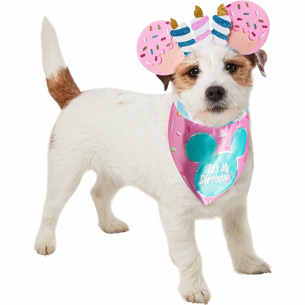 Disney Birthday Dog Headband - Picture 2 of 2